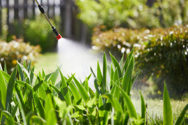 24/7 Emergency Ant Control experts in St. Andrews, SC