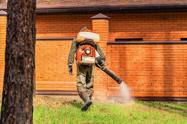 Trusted Mosquito Control service in St. Andrews, SC - Nex Pest Control